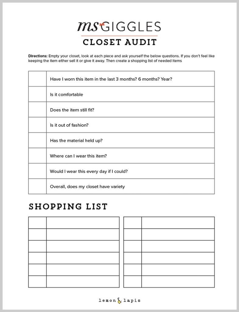 closet-audit-preview